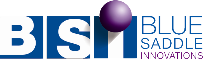 BSI Logo